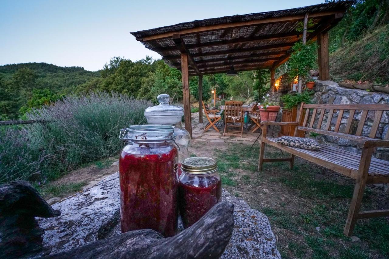 Agriturismo La Colombella Баньи-Сан-Филиппо Экстерьер фото