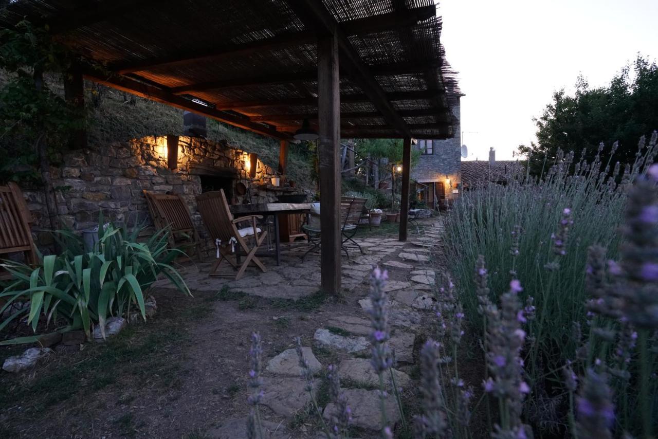 Agriturismo La Colombella Баньи-Сан-Филиппо Экстерьер фото